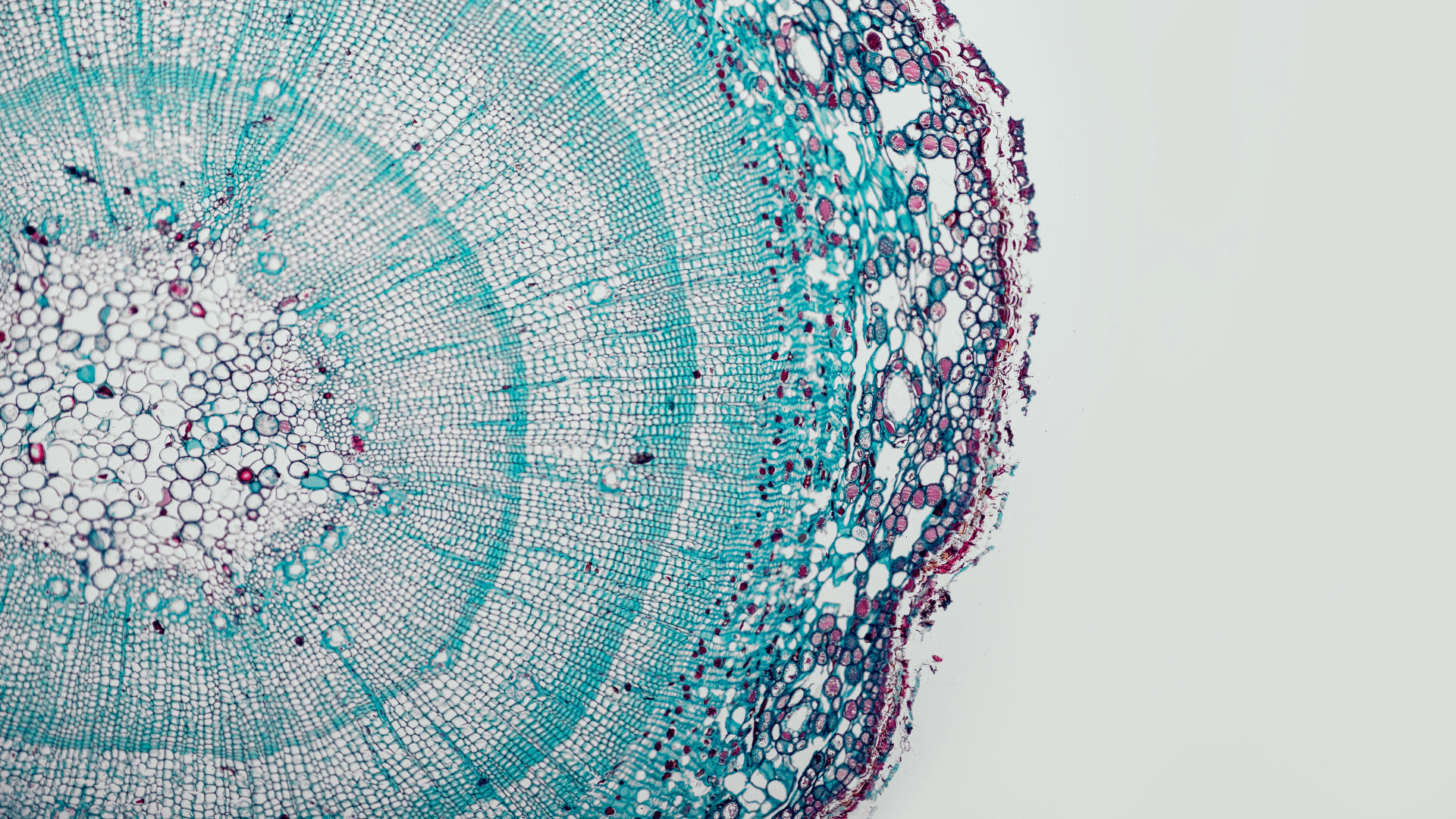 Decoding DNA with AI: Living Models emerges from stealth with $7M