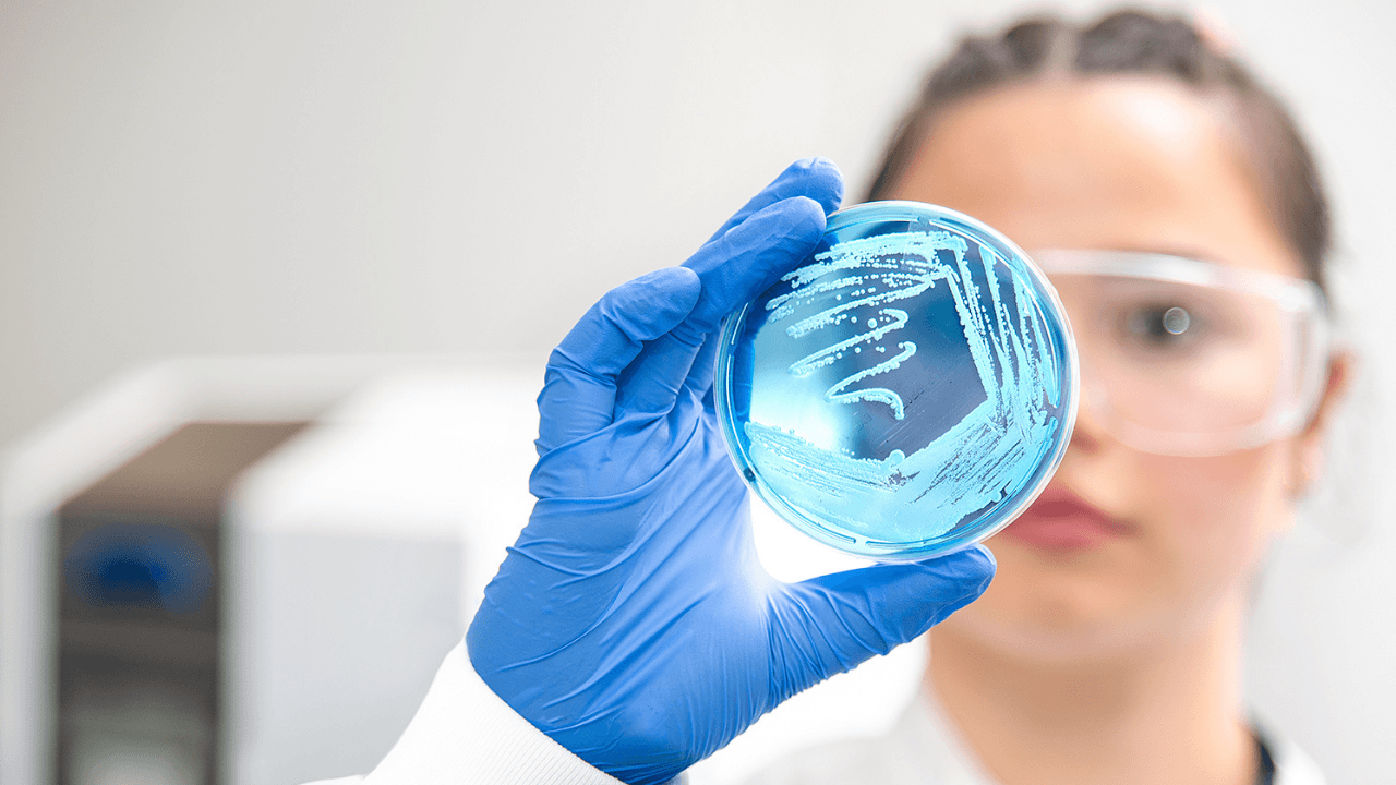 iFAST Diagnostics bags £5M to speed up infection testing and tackle antimicrobial resistance
