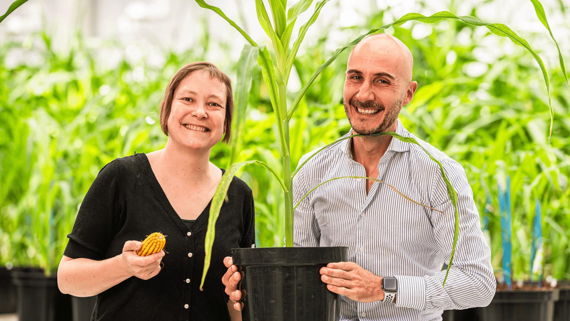 Rainbow Crops raises €9.7M to scale AI-powered crop engineering